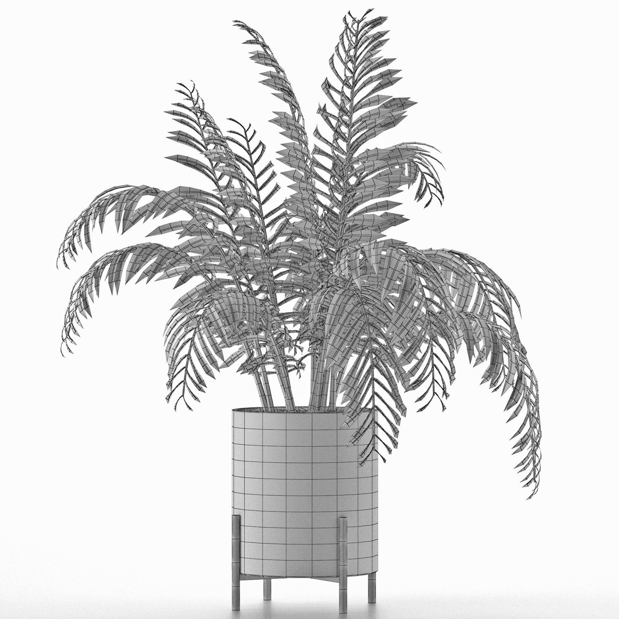 House Plant 38 3D model_4