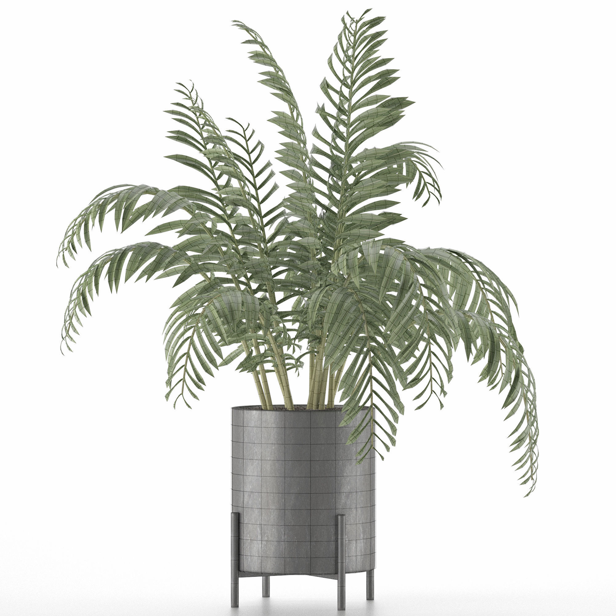 House Plant 38 3D model_5