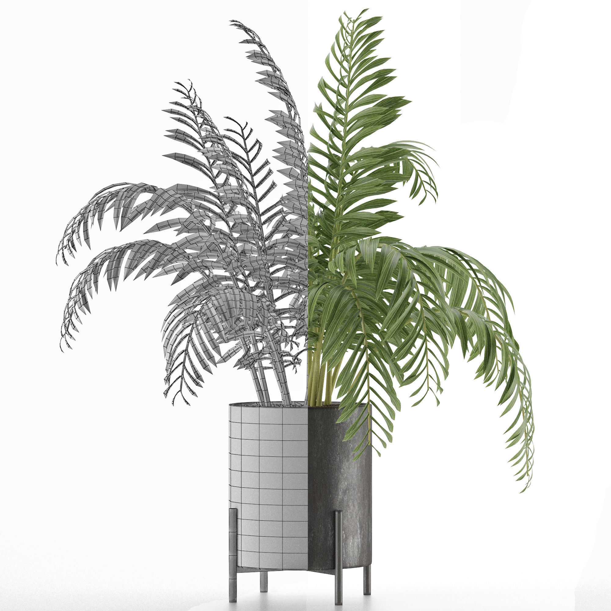 House Plant 38 3D model_6