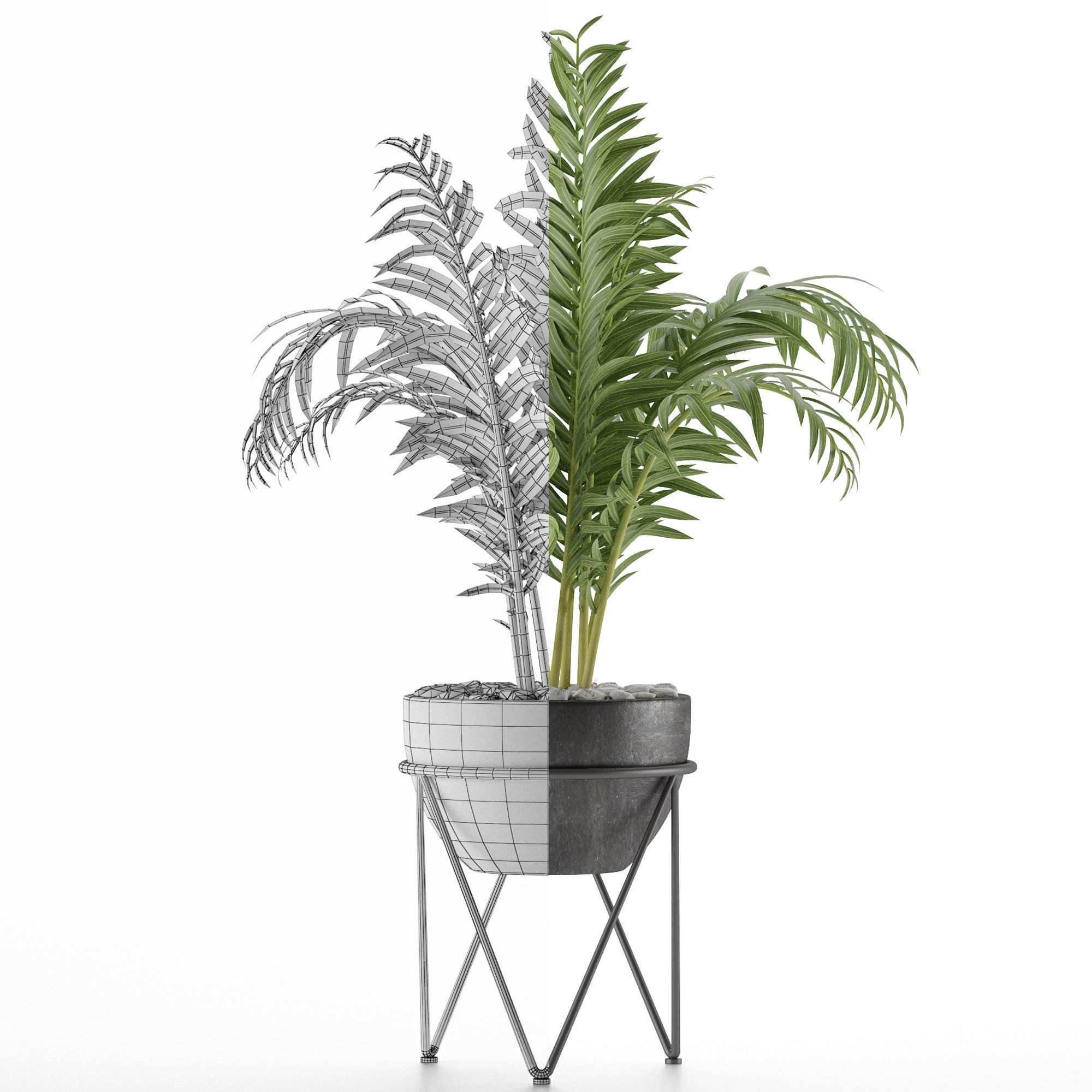 House Plant 39 3D model_6