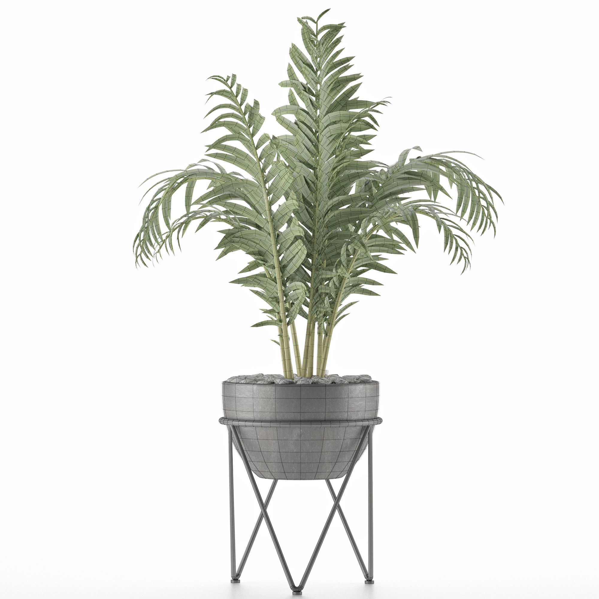 House Plant 39 3D model_5