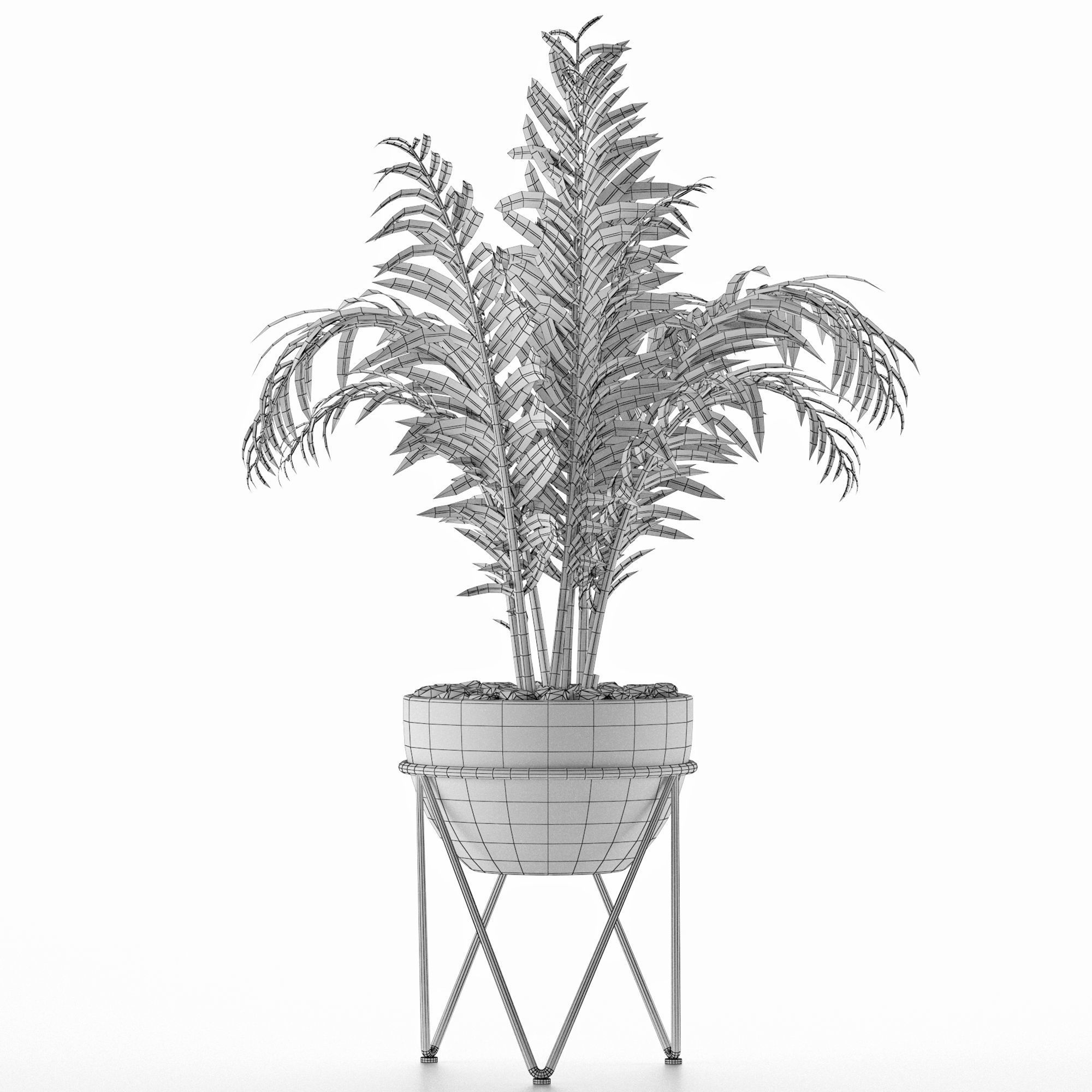 House Plant 39 3D model_4