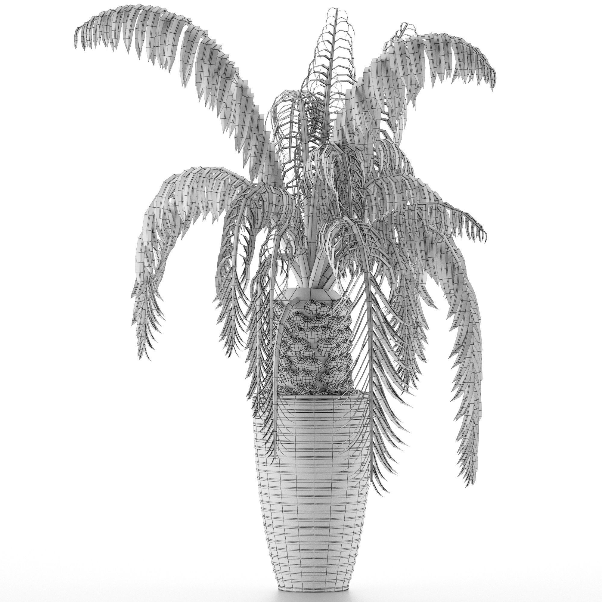 House Plant 41 3D model_4