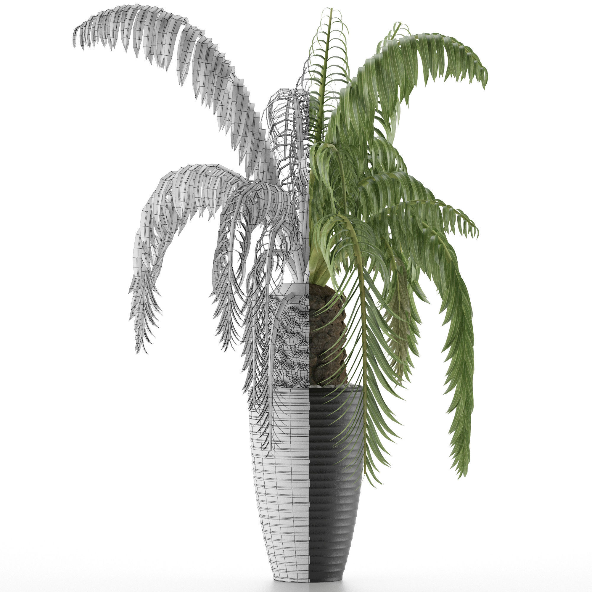House Plant 41 3D model_6