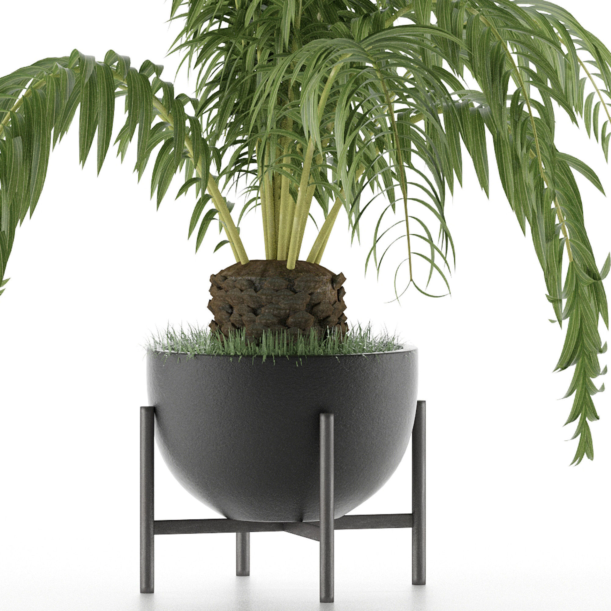 House Plant 42 3D model_2