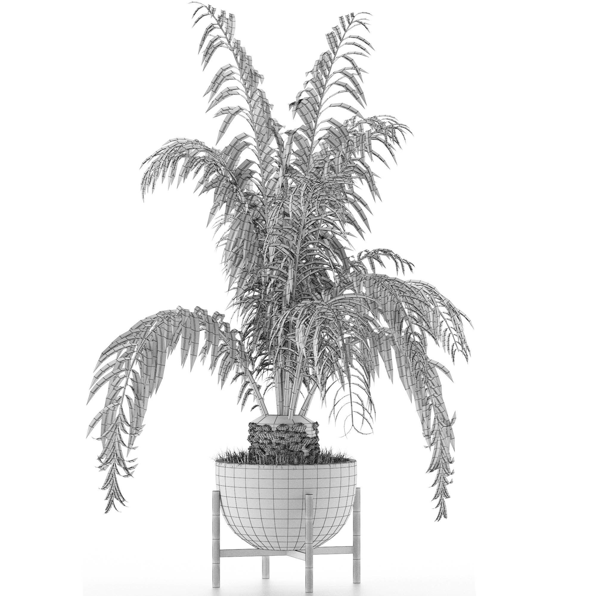 House Plant 42 3D model_4
