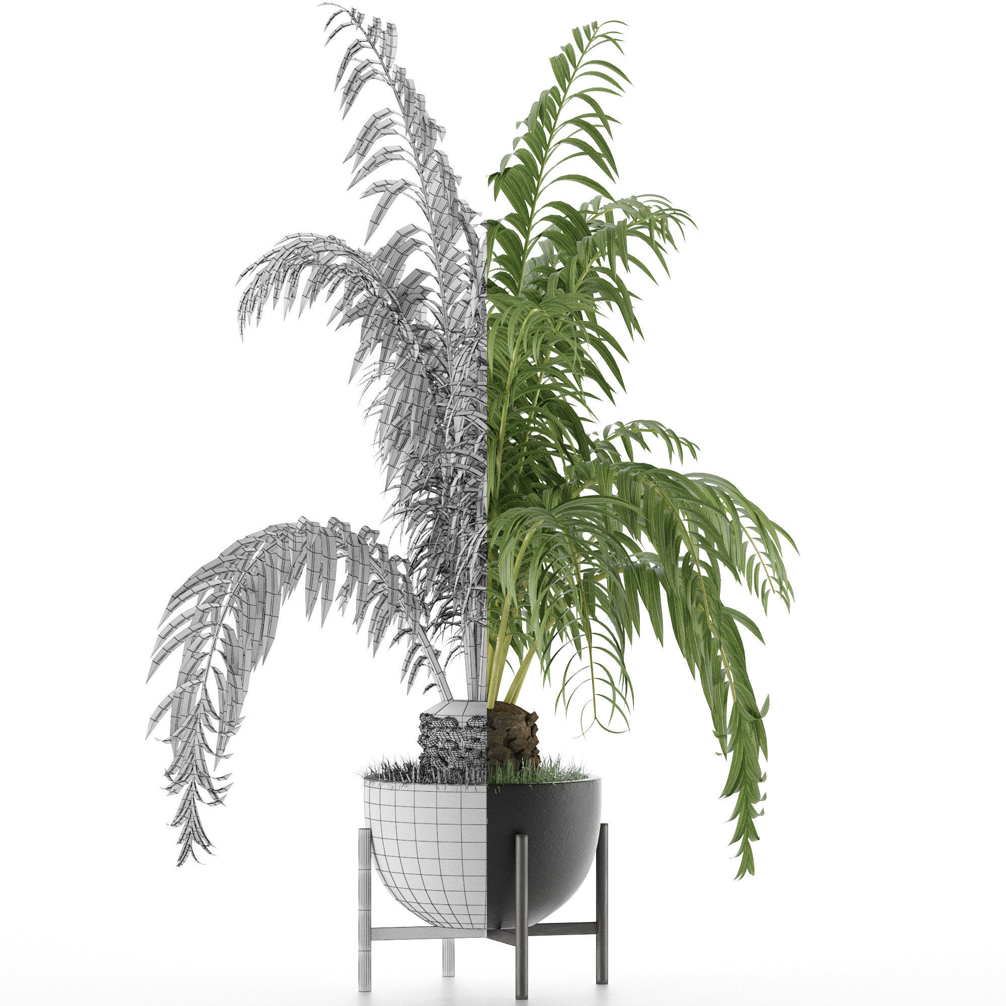 House Plant 42 3D model_6