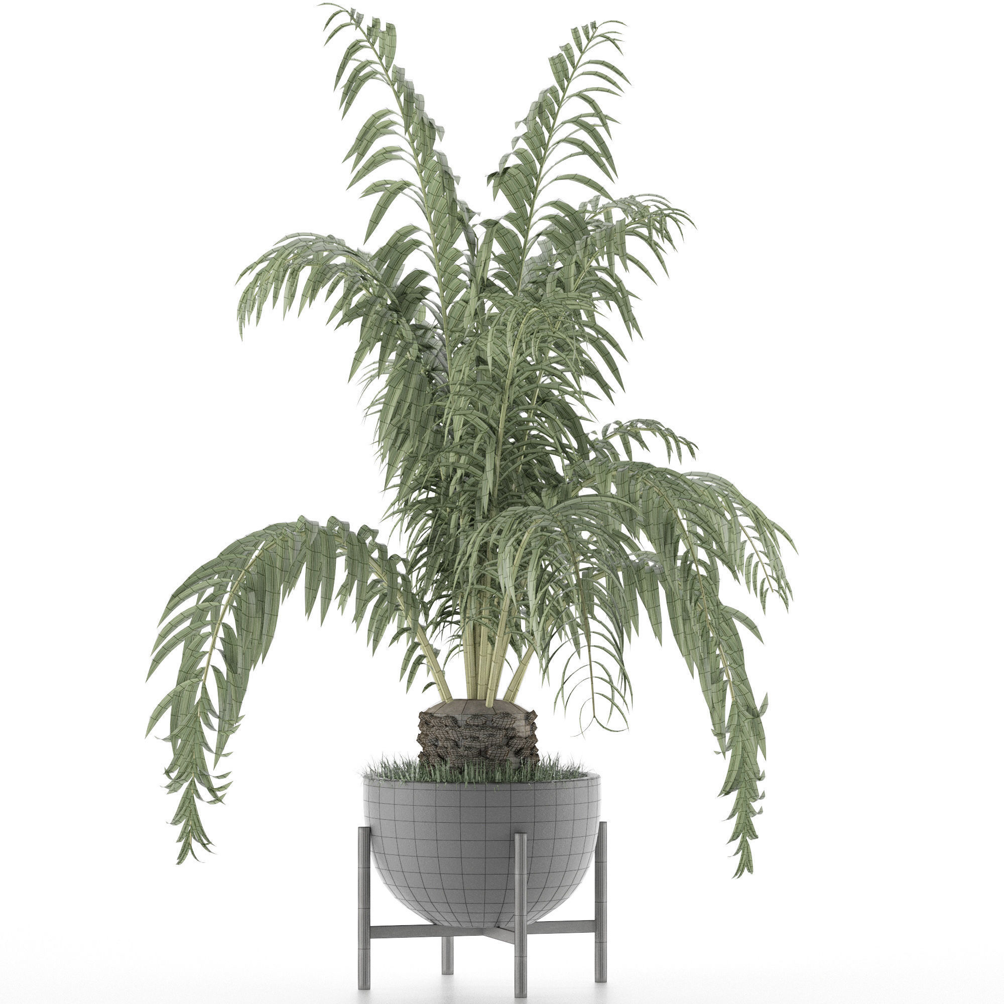 House Plant 42 3D model_5