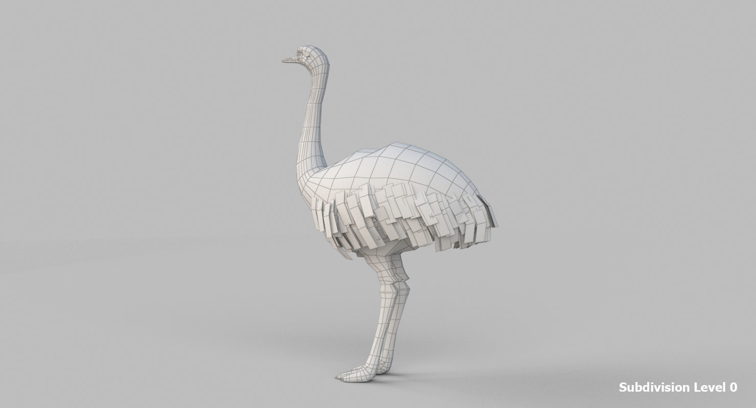 3D model Emu Bird 3D model_10