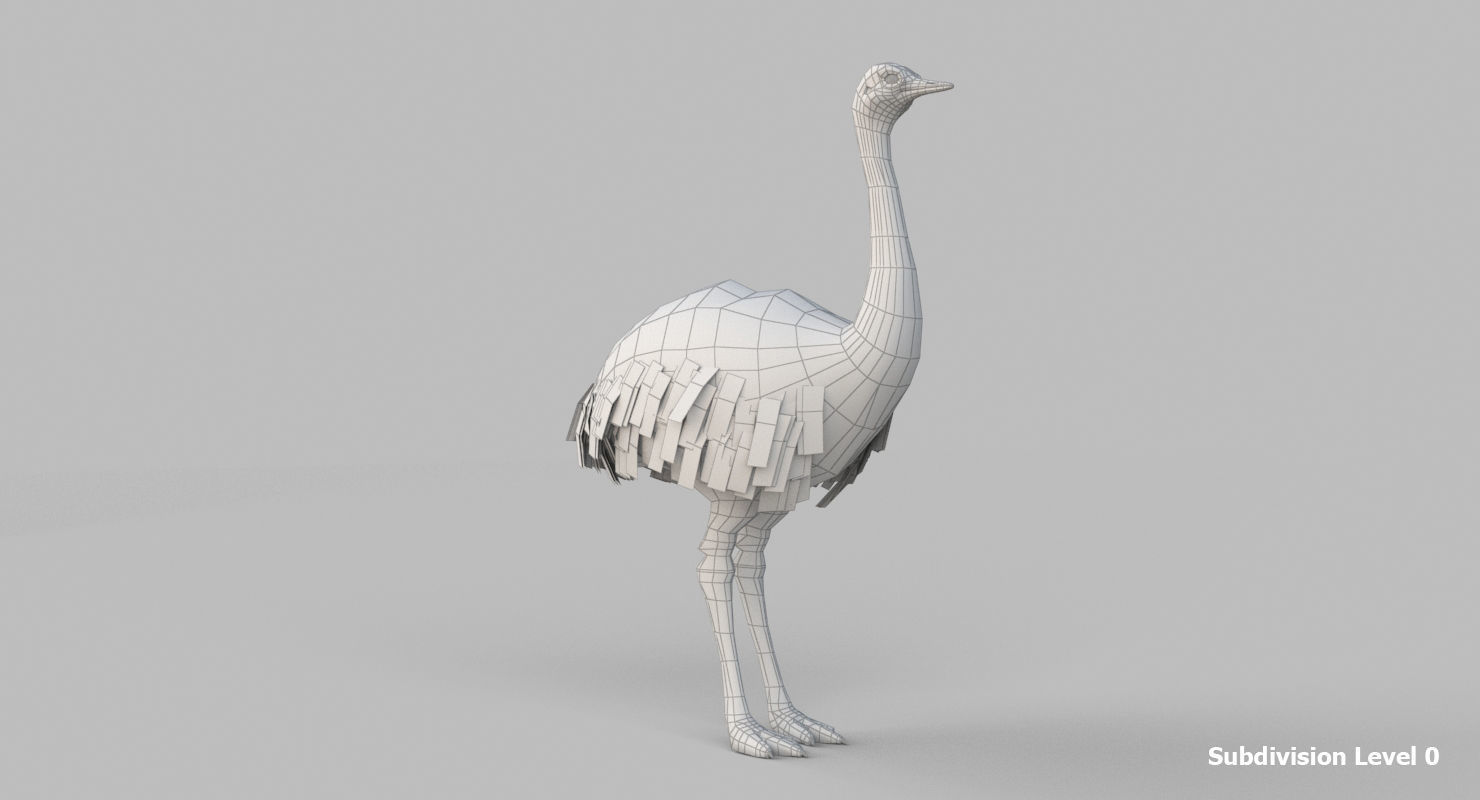 3D model Emu Bird 3D model_8