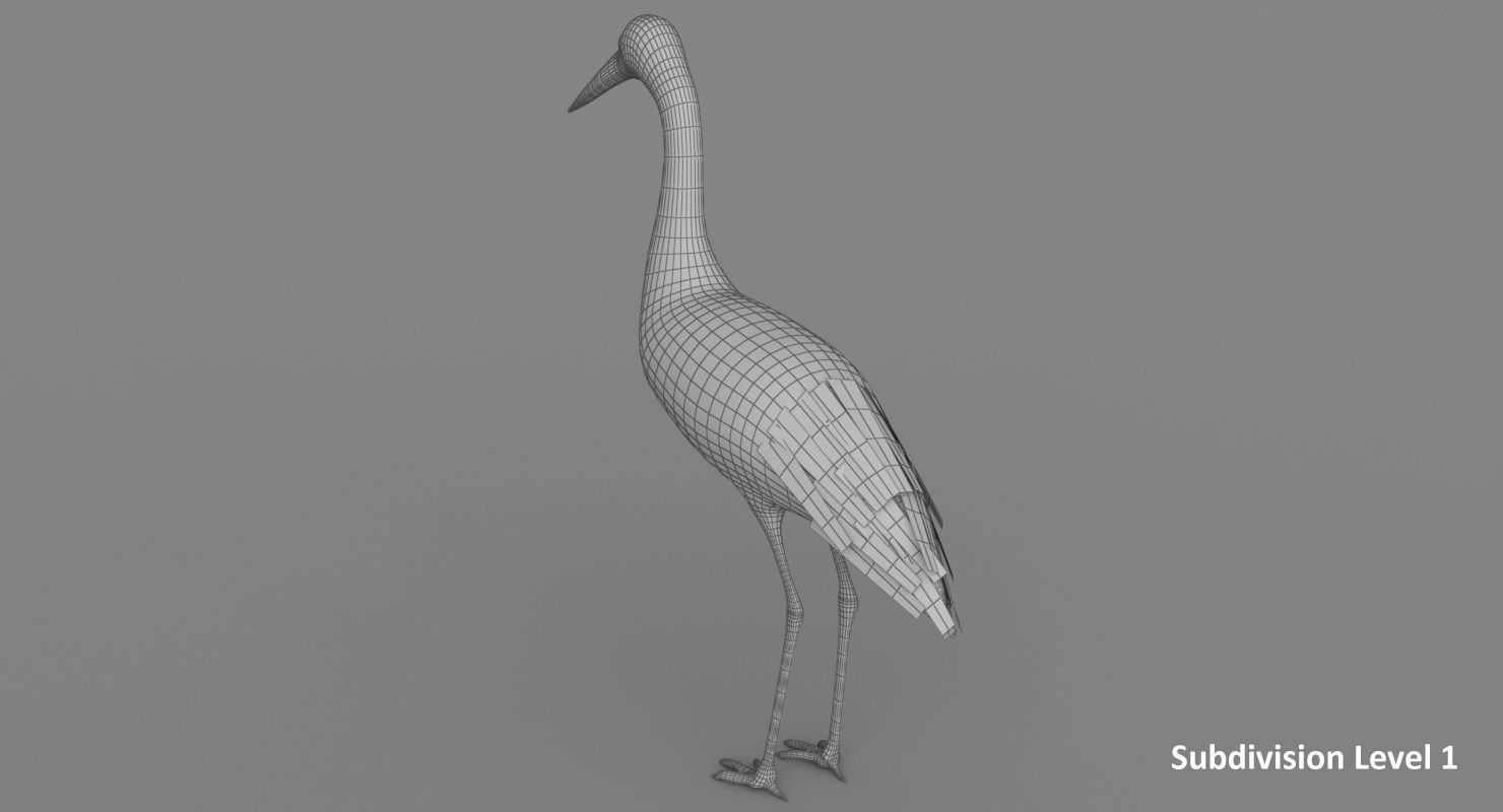 Stork 3D model 3D model_12