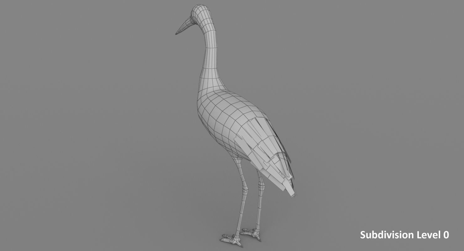 Stork 3D model 3D model_13