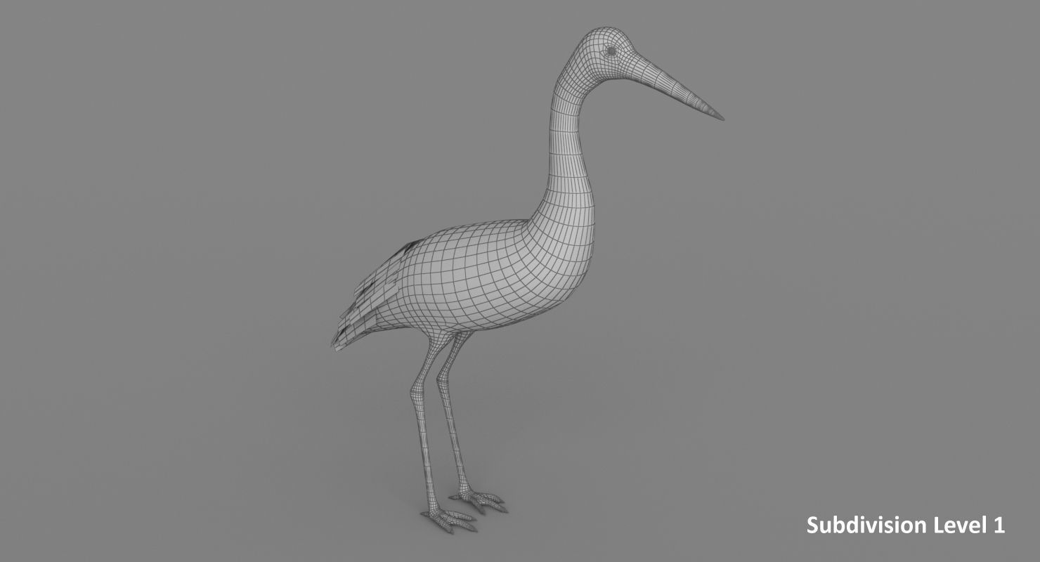 Stork 3D model 3D model_15