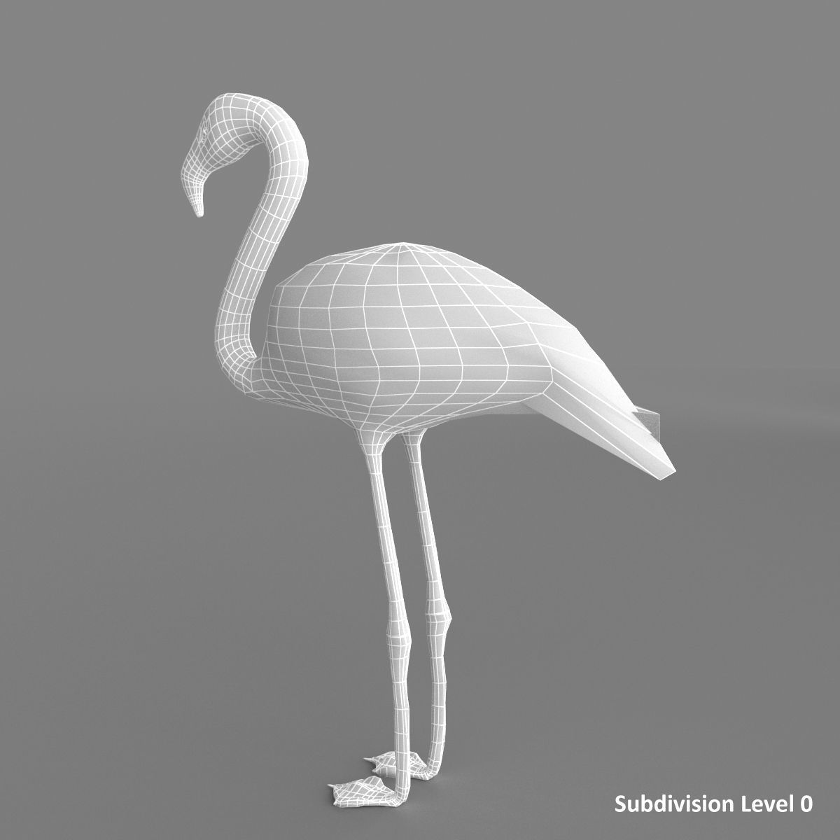 3D model Flamingo 3D model_13