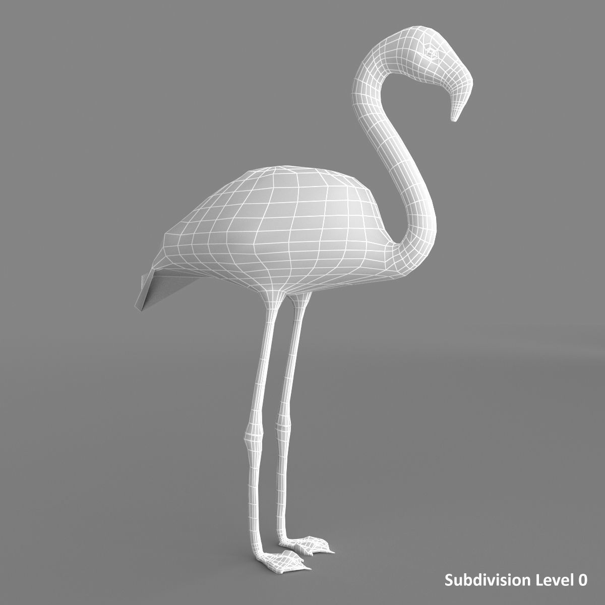 3D model Flamingo 3D model_11