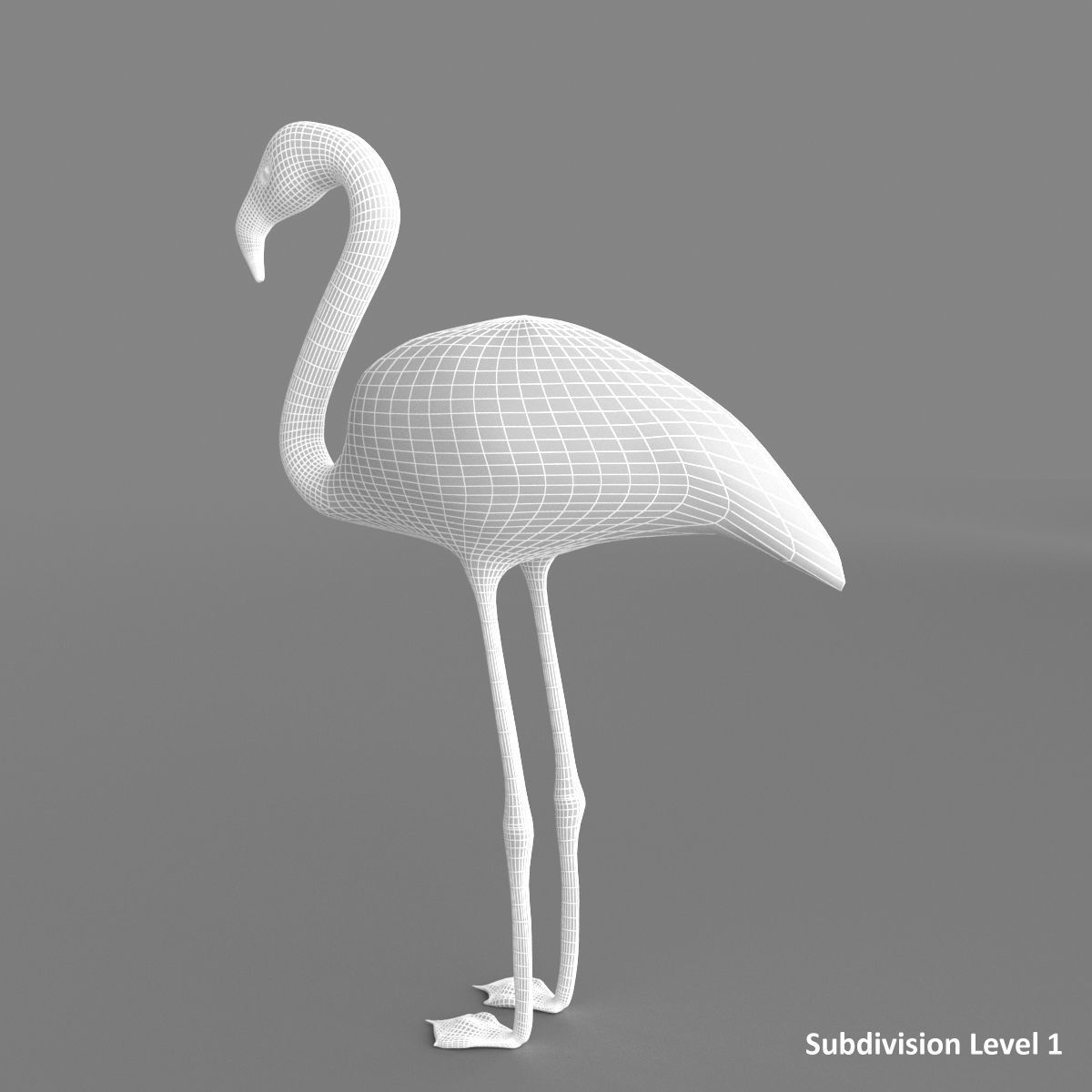 3D model Flamingo 3D model_12