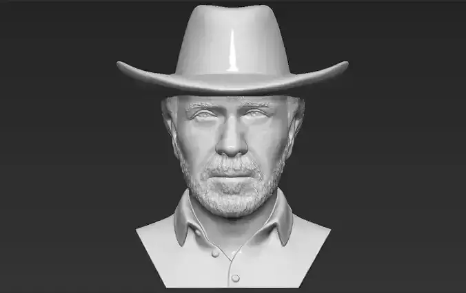 Chuck Norris bust 3D printing ready stl obj formats 3D print model