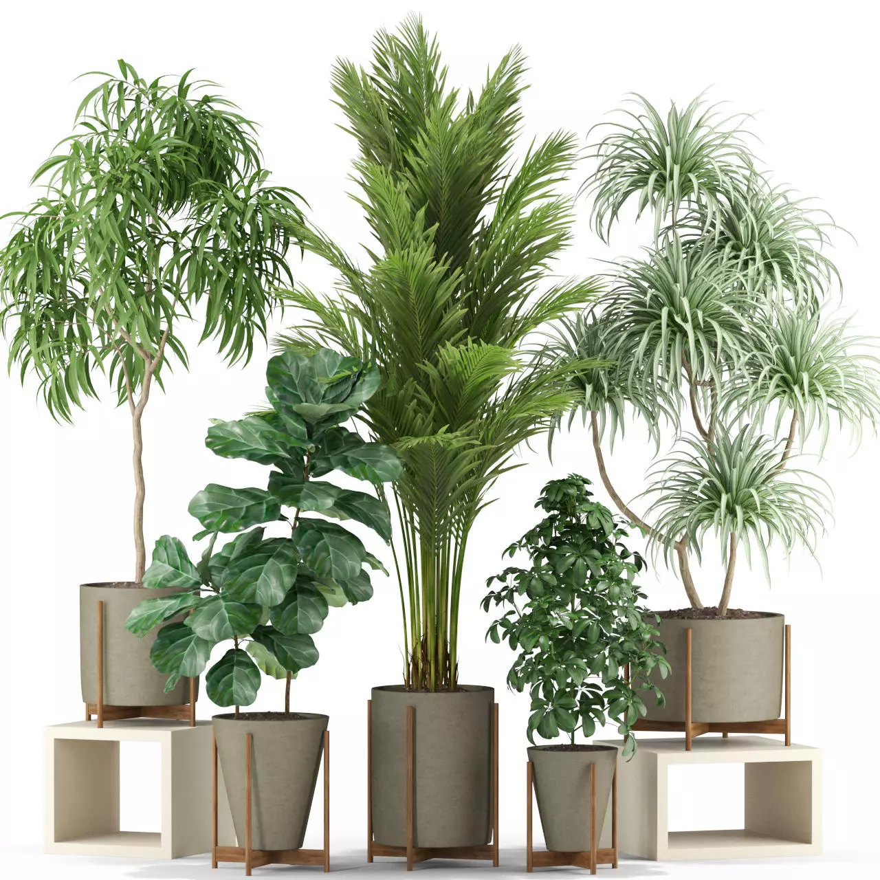 Plants collection 343 3D model_0