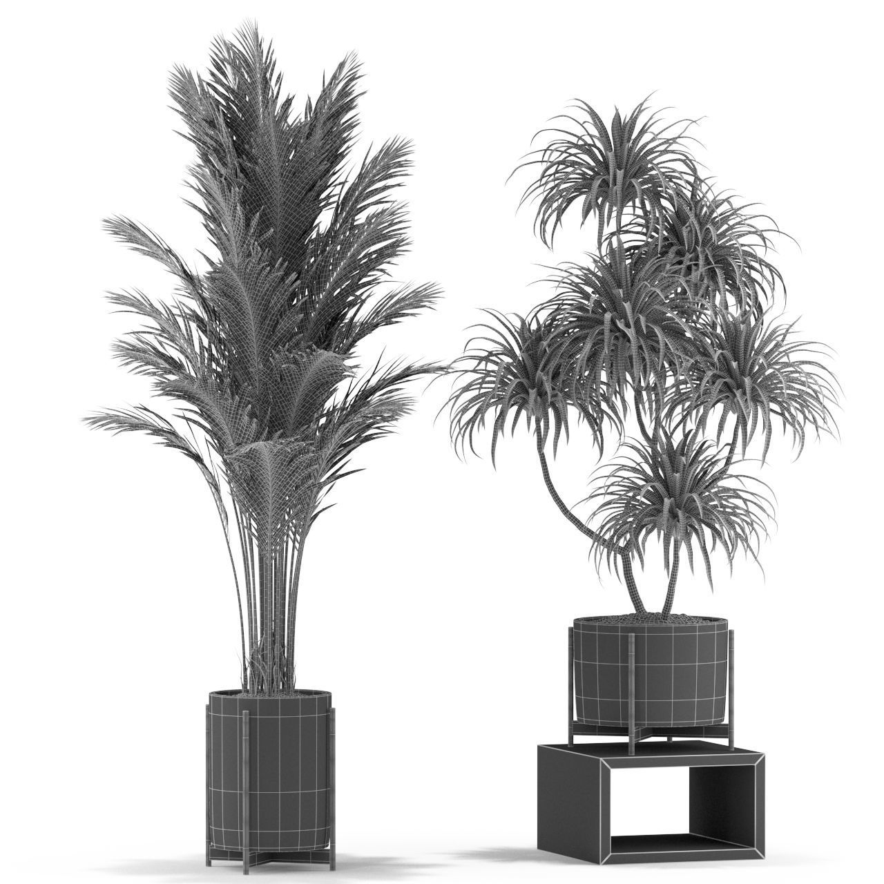 Plants collection 343 3D model_3