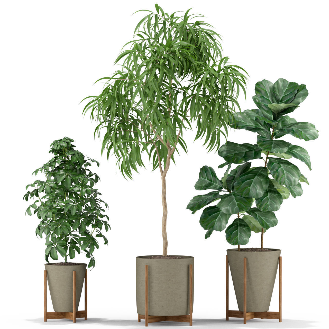 Plants collection 343 3D model_2
