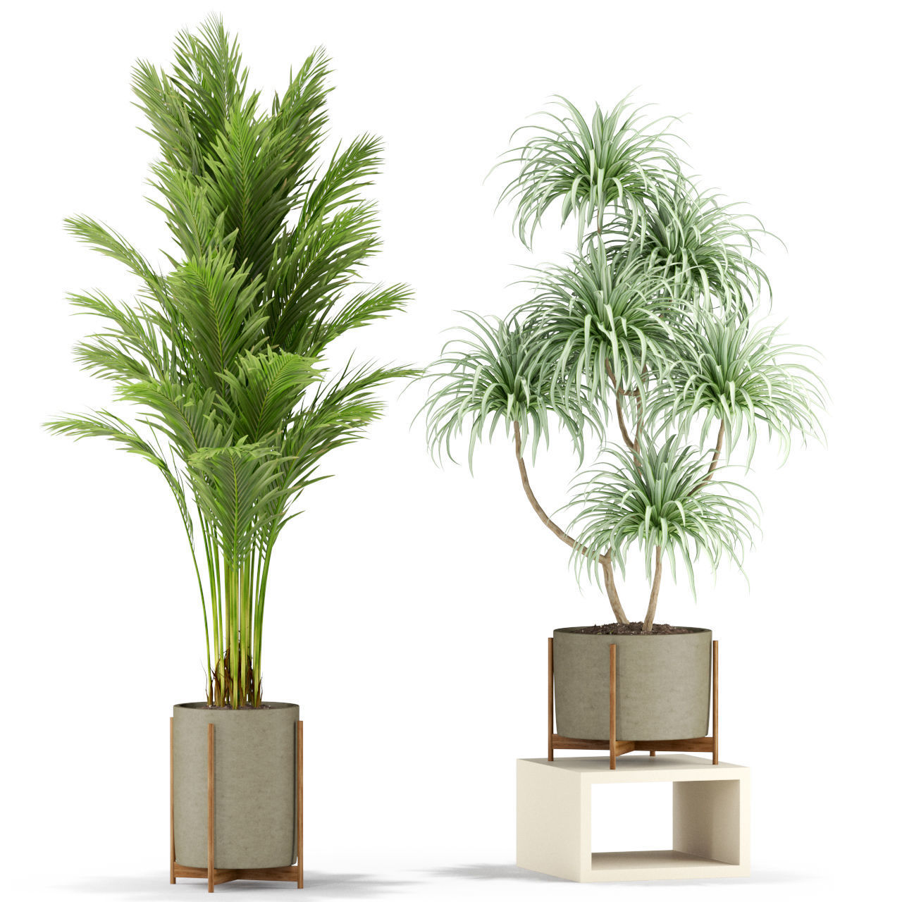 Plants collection 343 3D model_1