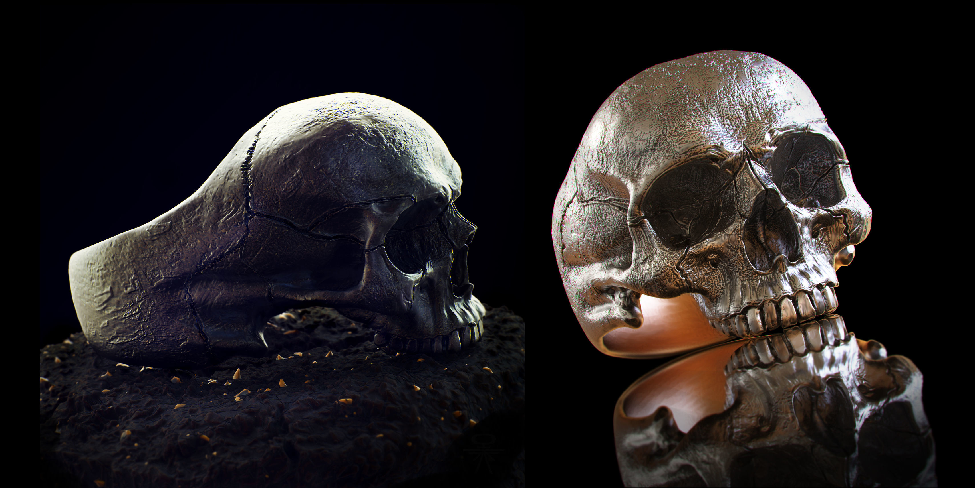 skull without jaw ring collection _0