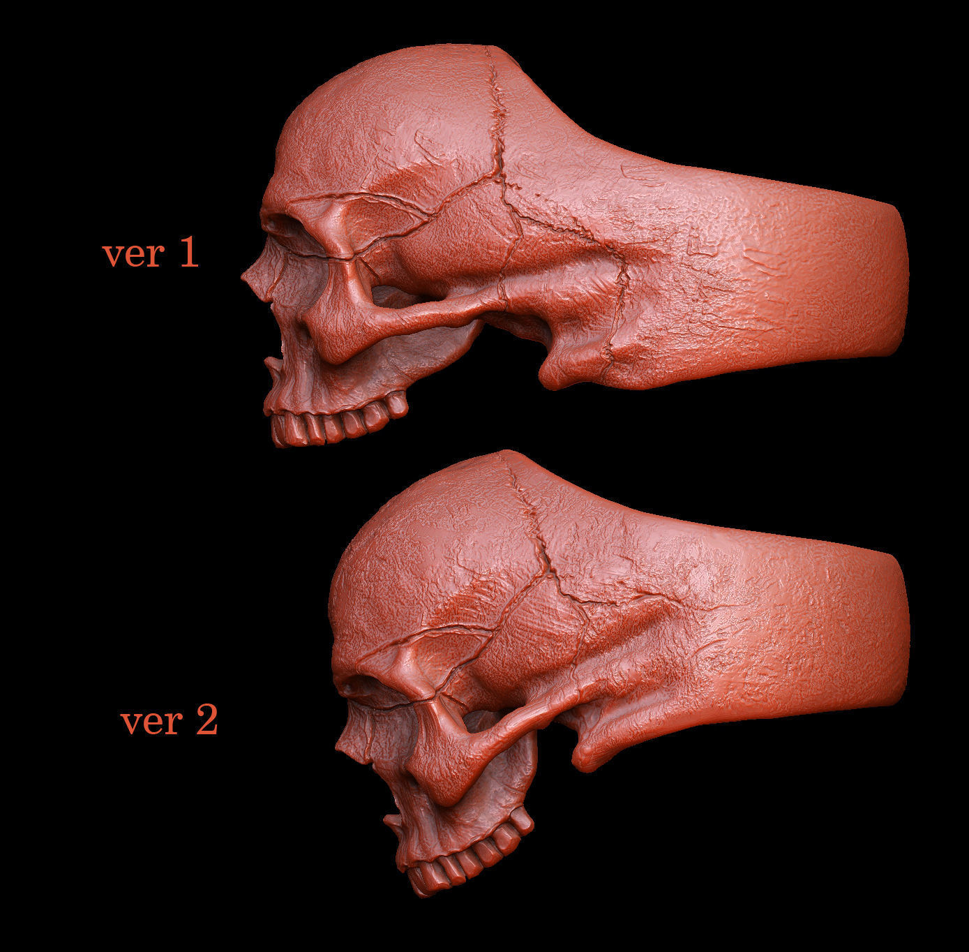 skull without jaw ring collection _4