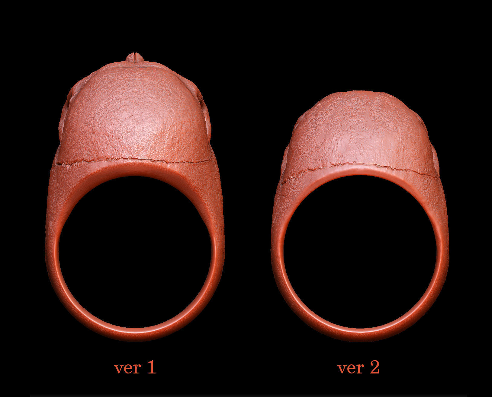 skull without jaw ring collection _6