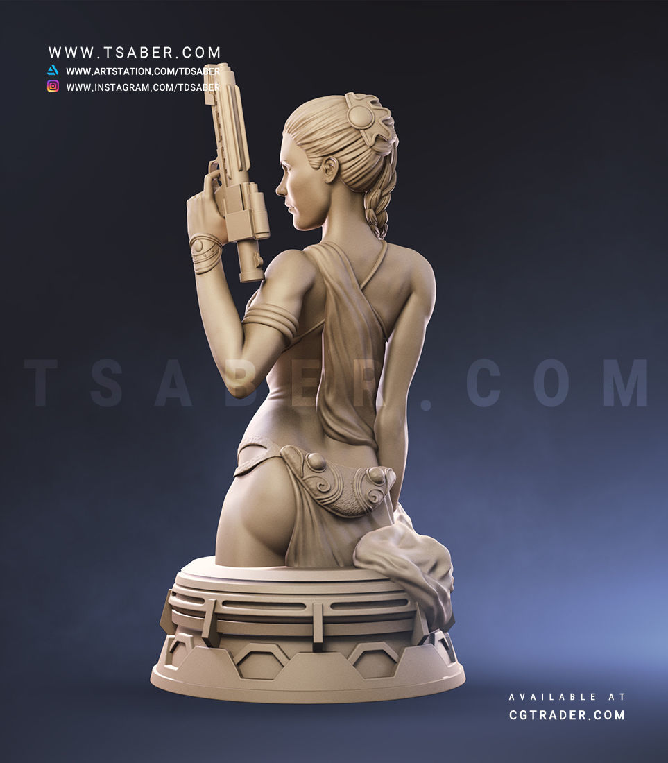 Princess Leia Bust - Star Wars Collectibles 3D print model_8