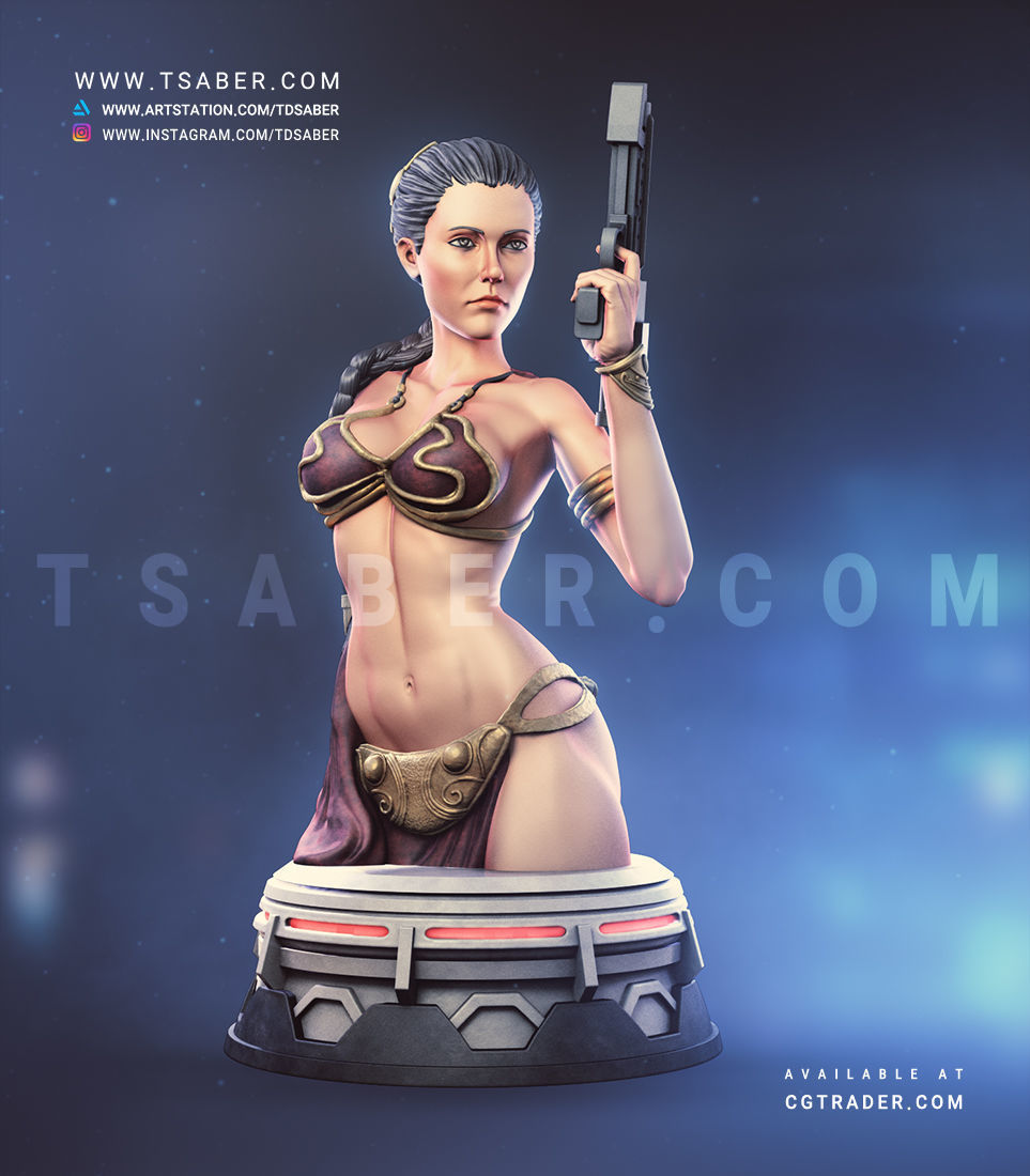 Princess Leia Bust - Star Wars Collectibles 3D print model_2