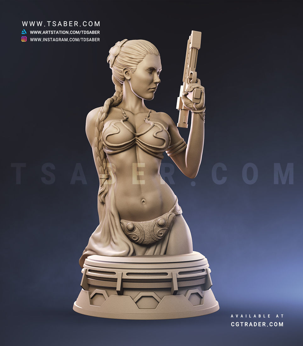 Princess Leia Bust - Star Wars Collectibles 3D print model_4