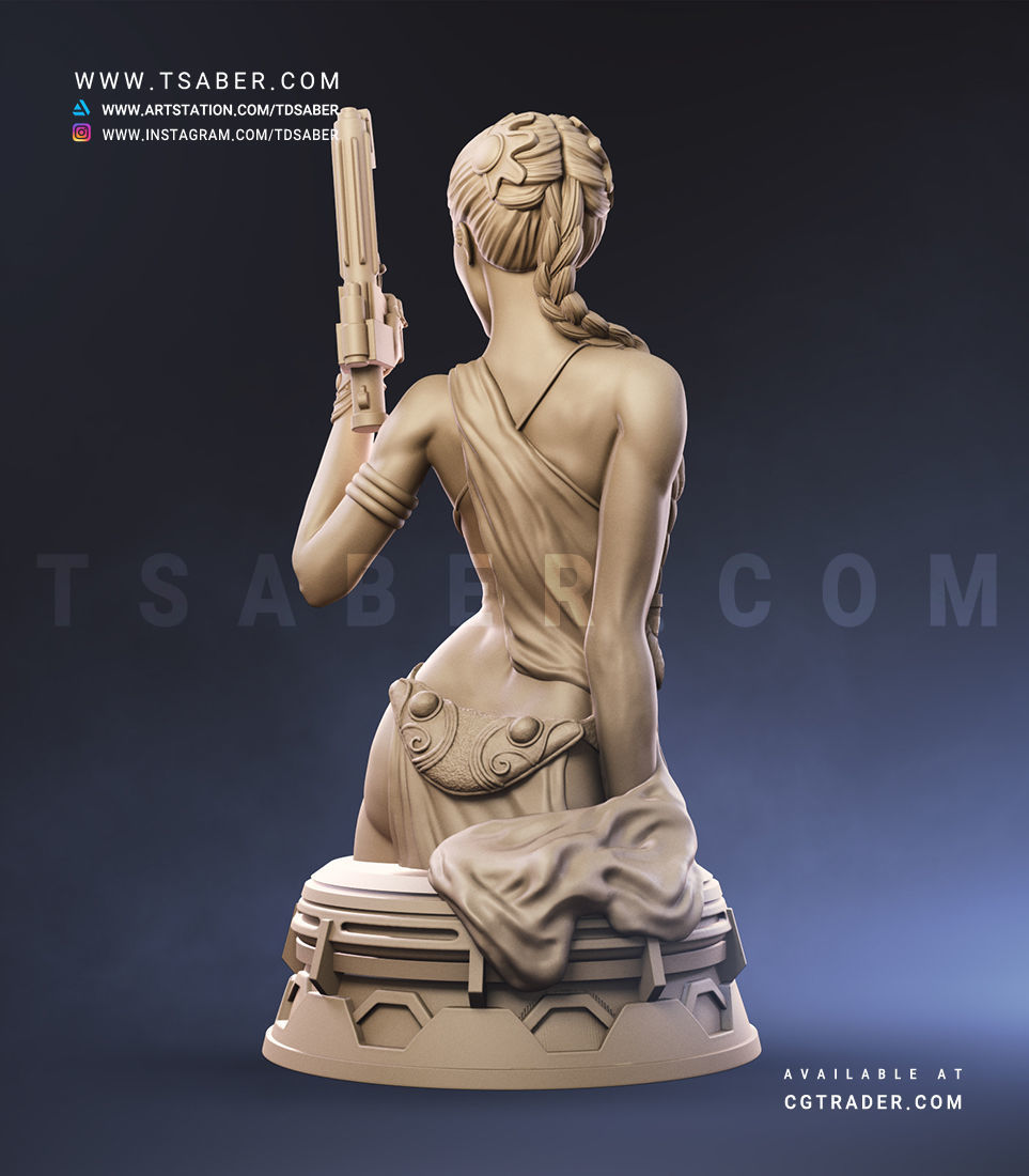 Princess Leia Bust - Star Wars Collectibles 3D print model_7