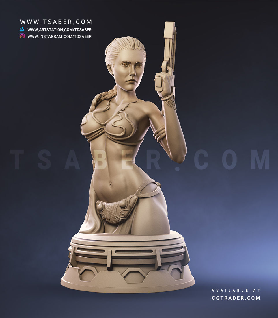 Princess Leia Bust - Star Wars Collectibles 3D print model_5