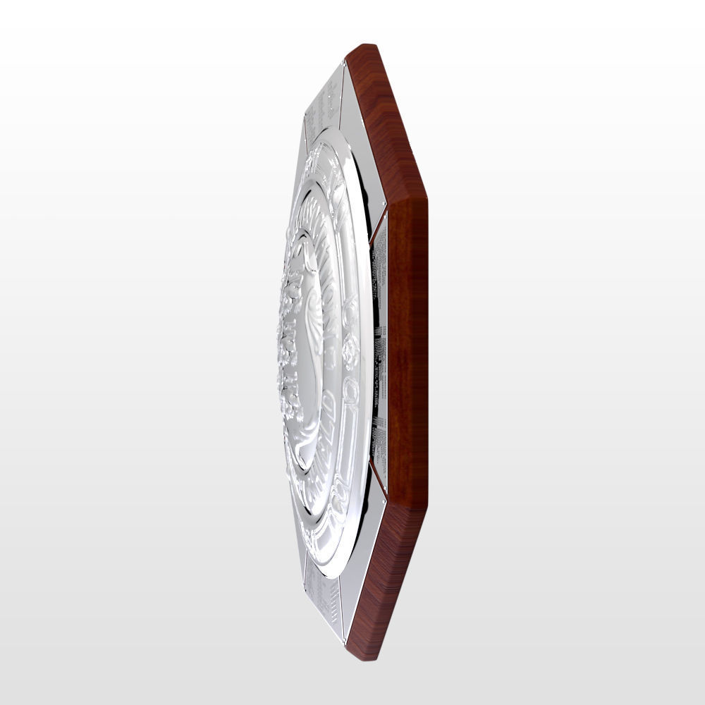 FA Community Charity Shield Trophy 3D model_7
