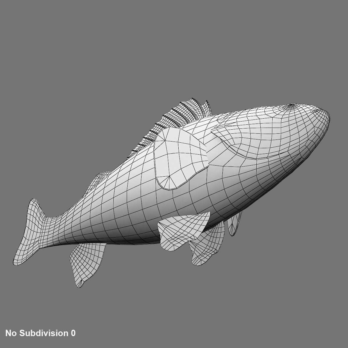 Perch Fish 3D model_10