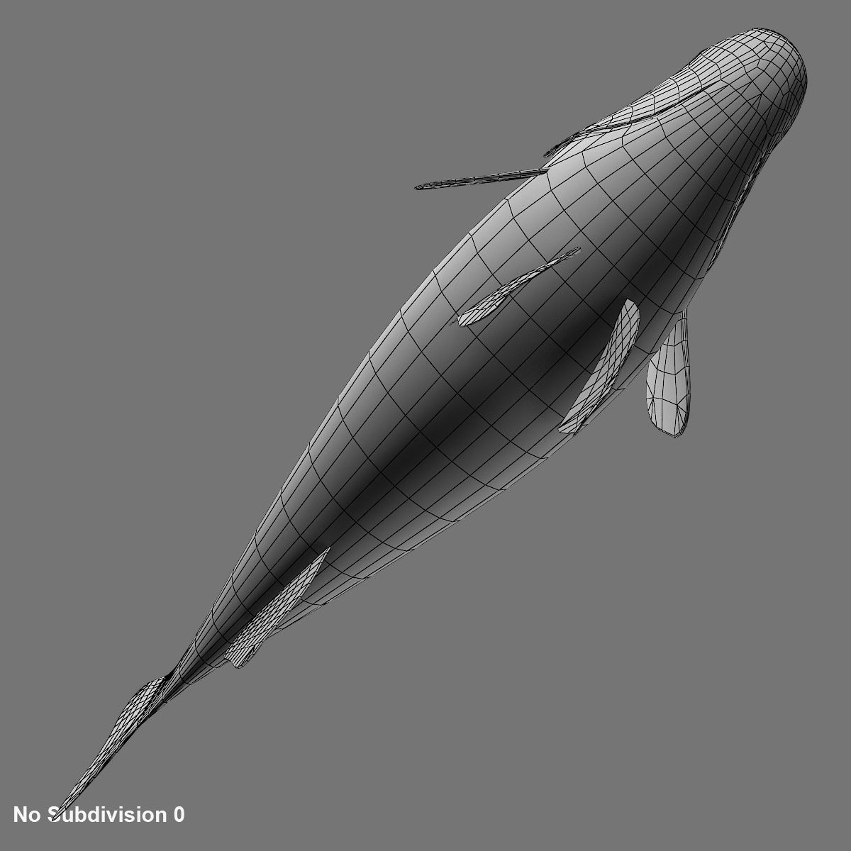 Perch Fish 3D model_11