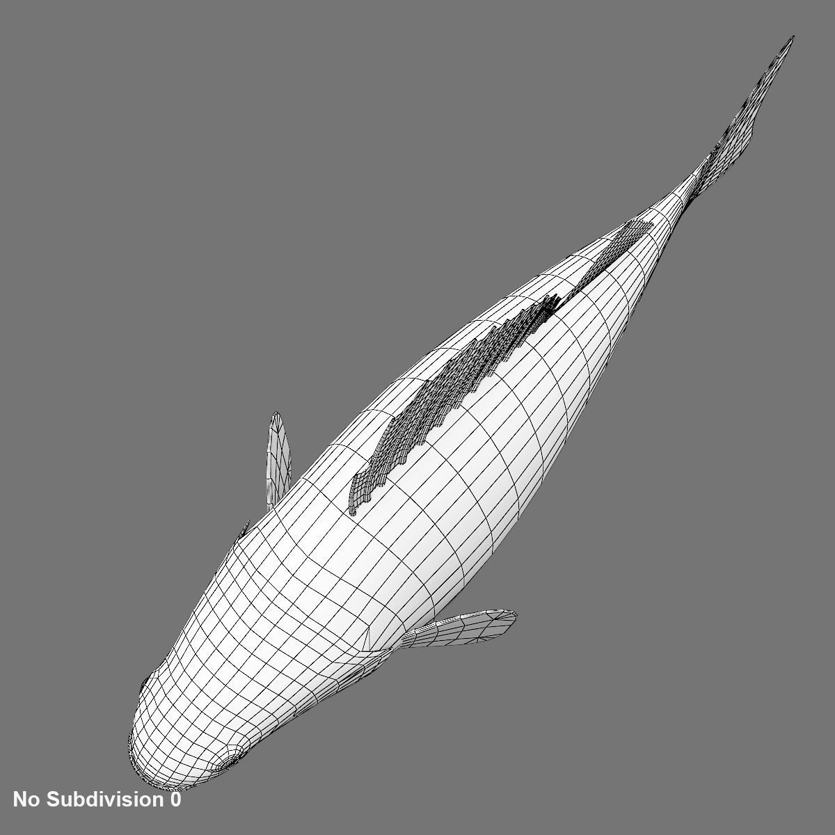 Perch Fish 3D model_9