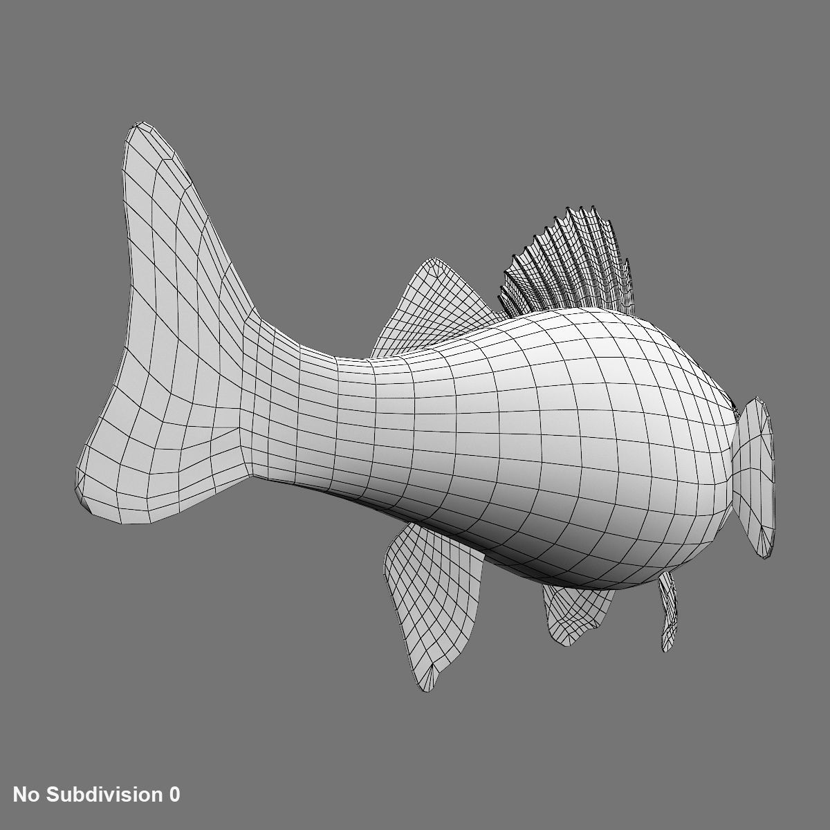 Perch Fish 3D model_12