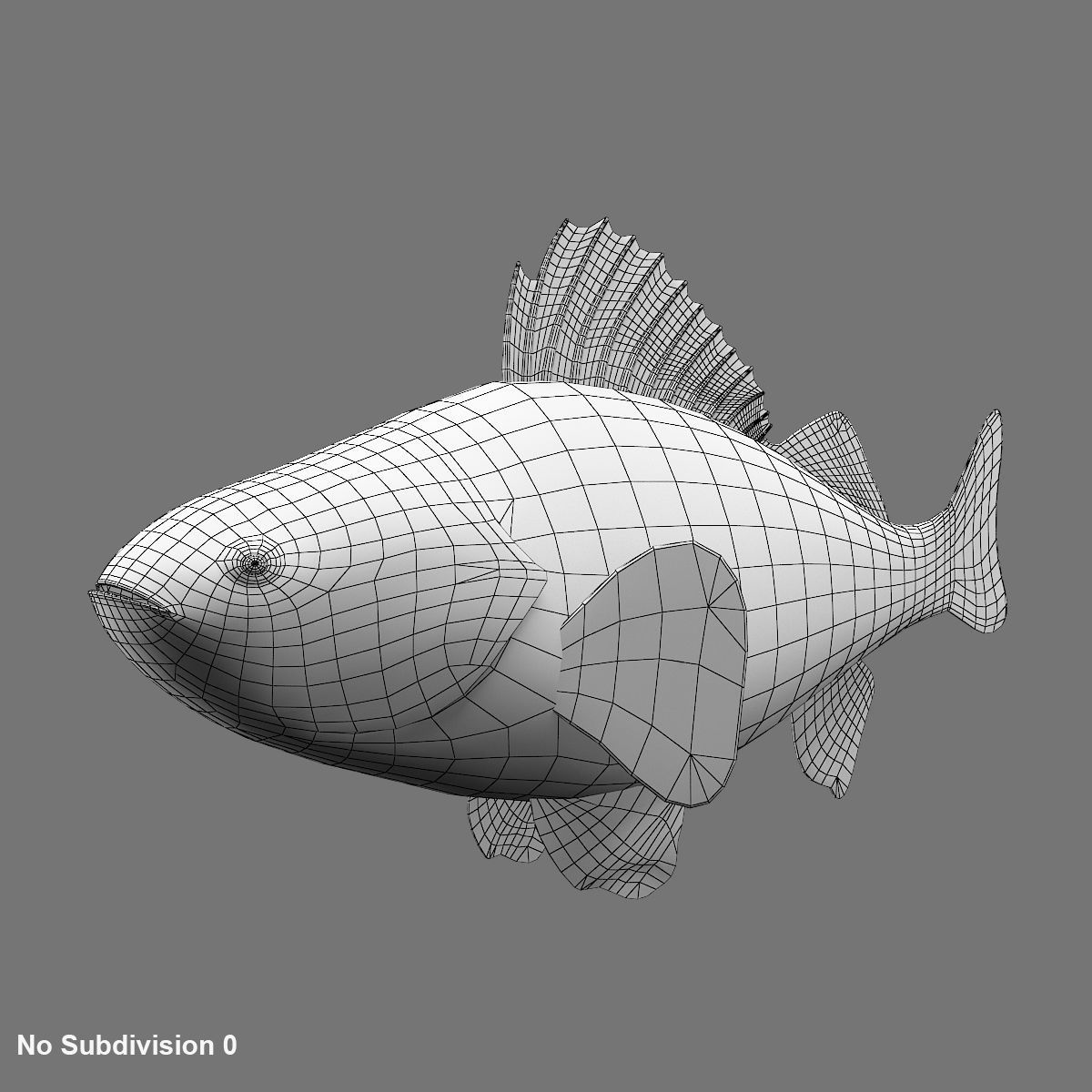 Perch Fish 3D model_8