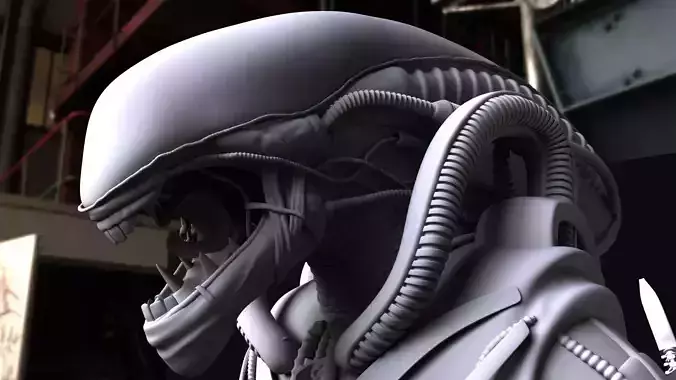 Xenomorph alien