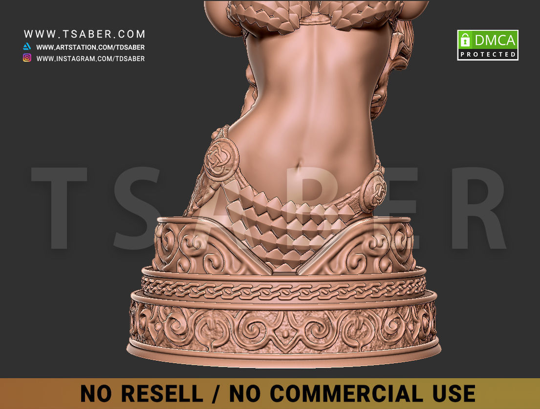 Red Sonja Bust 3D print model_22