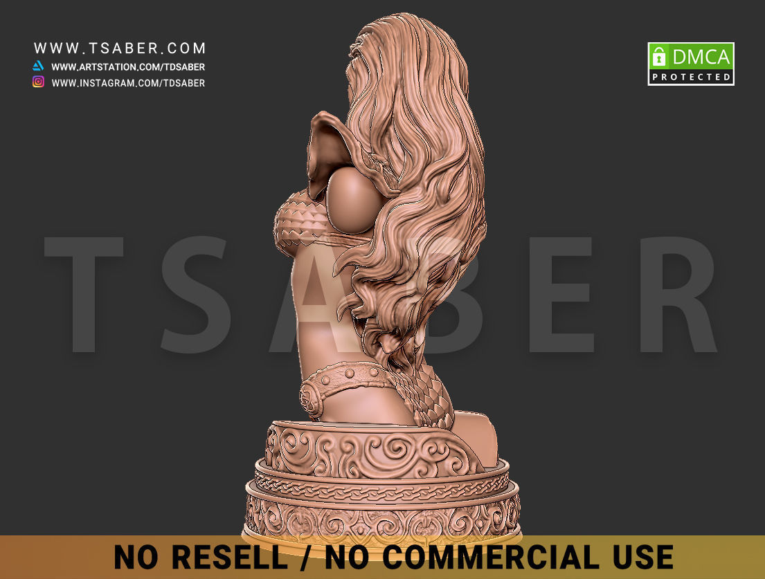 Red Sonja Bust 3D print model_12