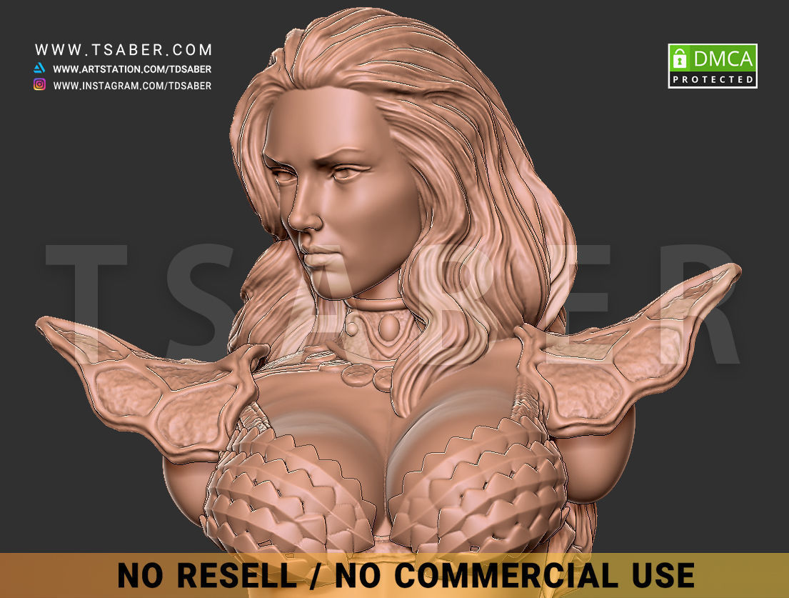 Red Sonja Bust 3D print model_17