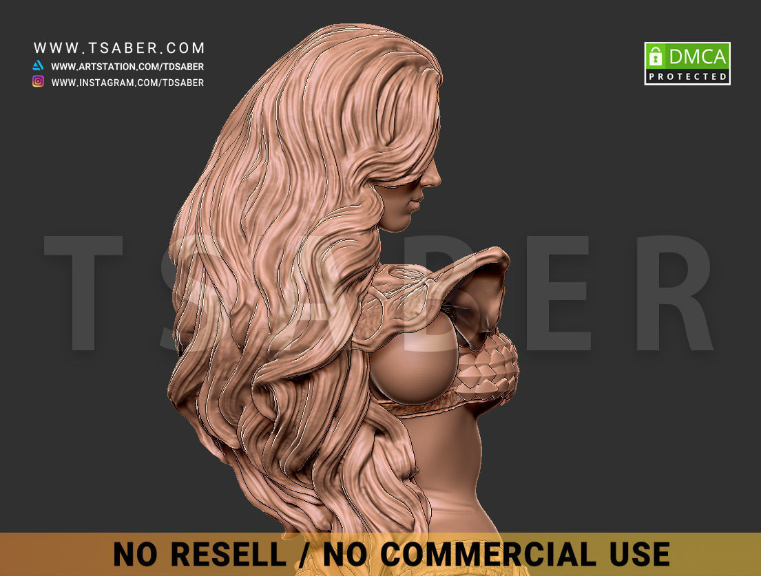 Red Sonja Bust 3D print model_21