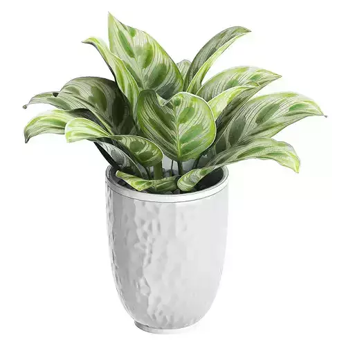 Flower Pack 85 3D model