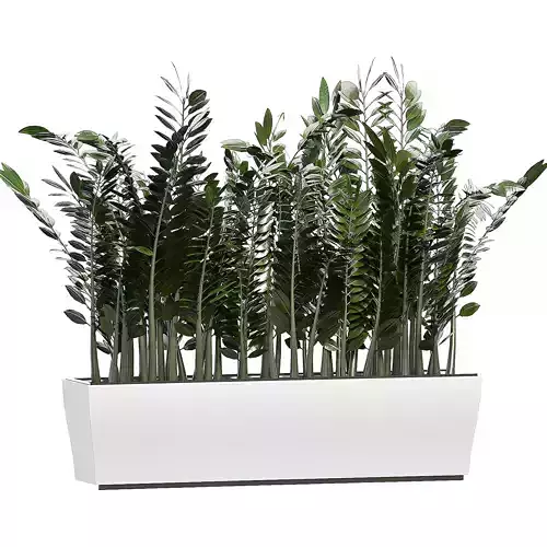 Flower Pack 86 3D model