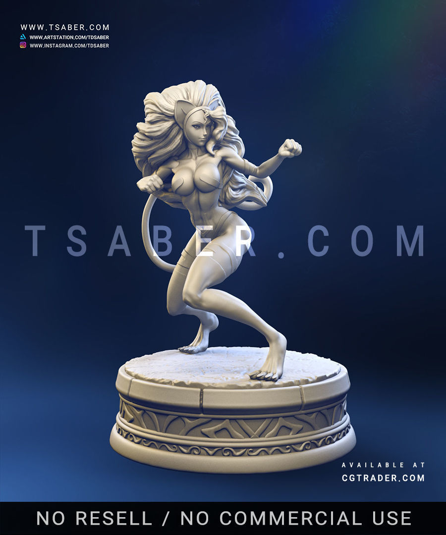 Felicia Statue - DarkStalkers Collectibles 3D print model_3