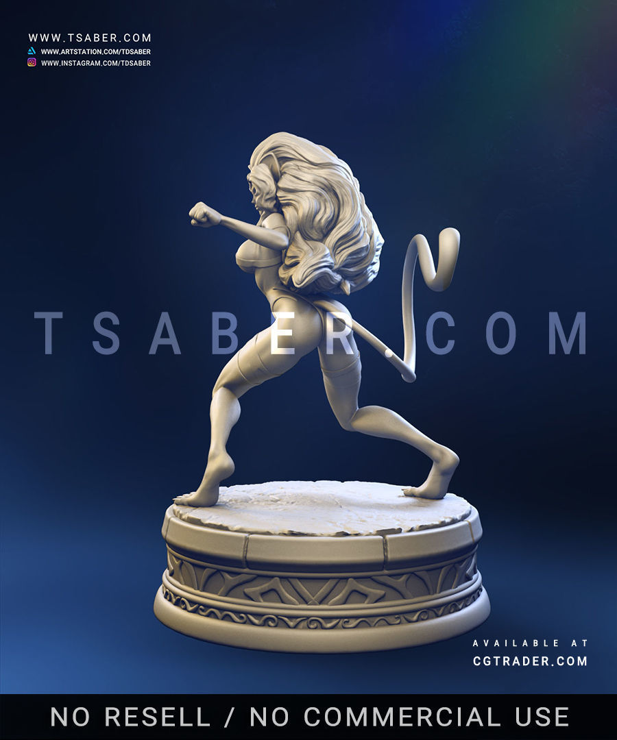Felicia Statue - DarkStalkers Collectibles 3D print model_8