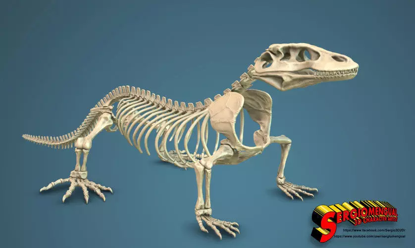 Komodo Dragon Skeleton  3D print model_0