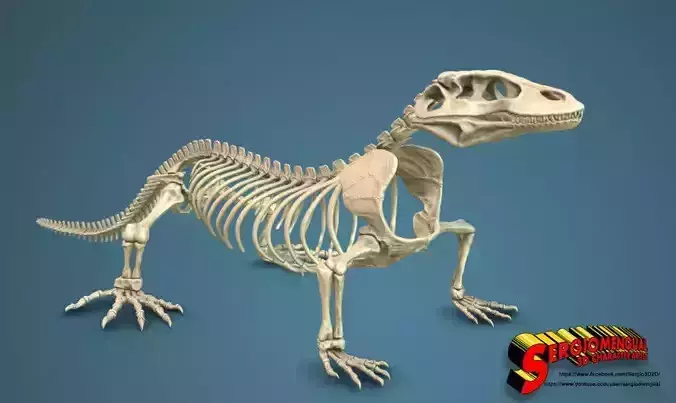 Komodo Dragon Skeleton  3D print model